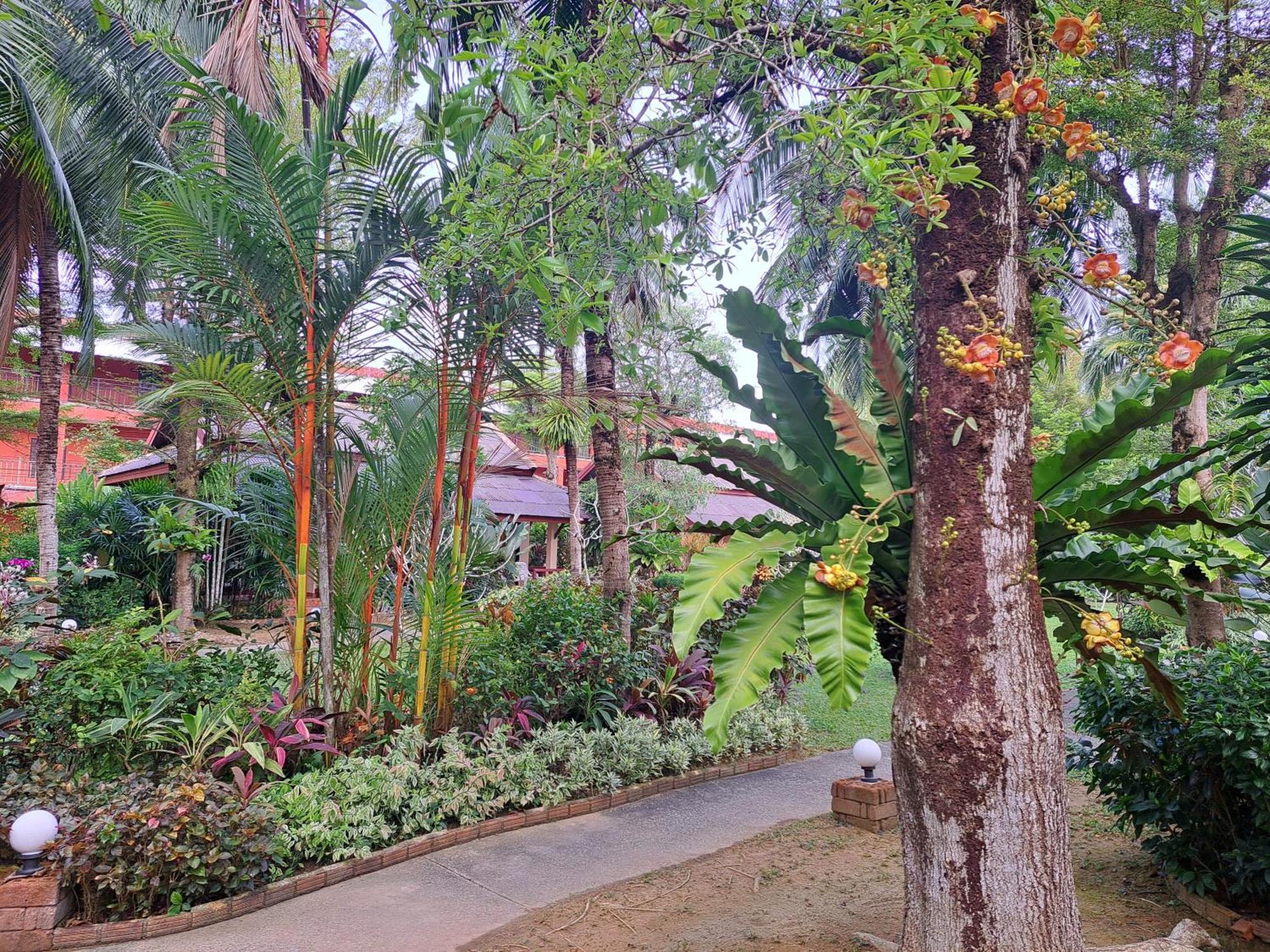 Jasmin Resort - Sha Plus Као Лак Екстериор снимка